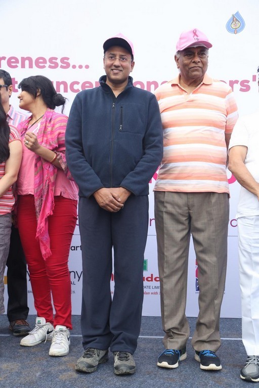 8th Annual Pink Ribbon Walk - 86 / 88 photos