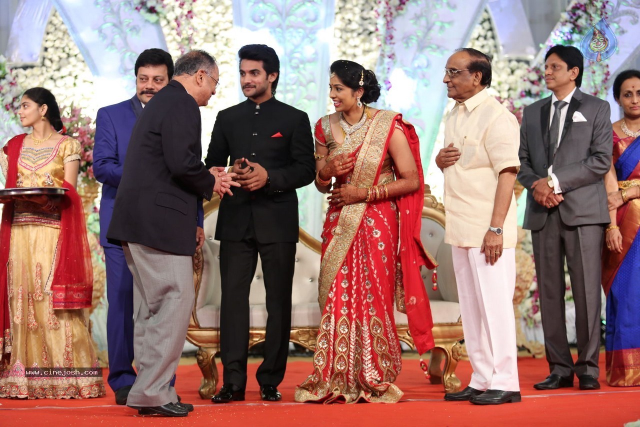 Aadi and Aruna Wedding Reception 01 - 9 / 119 photos