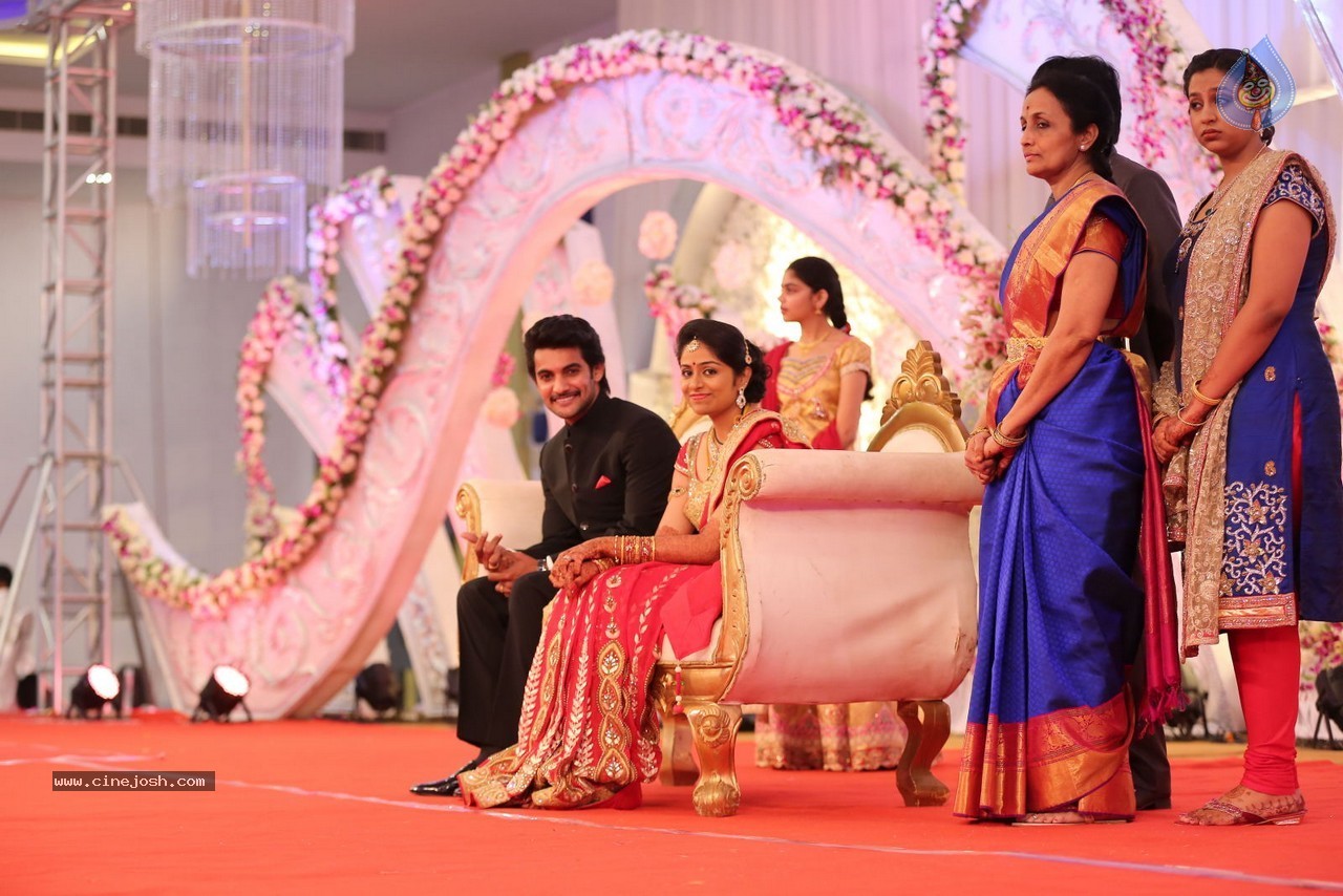 Aadi and Aruna Wedding Reception 01 - 22 / 119 photos