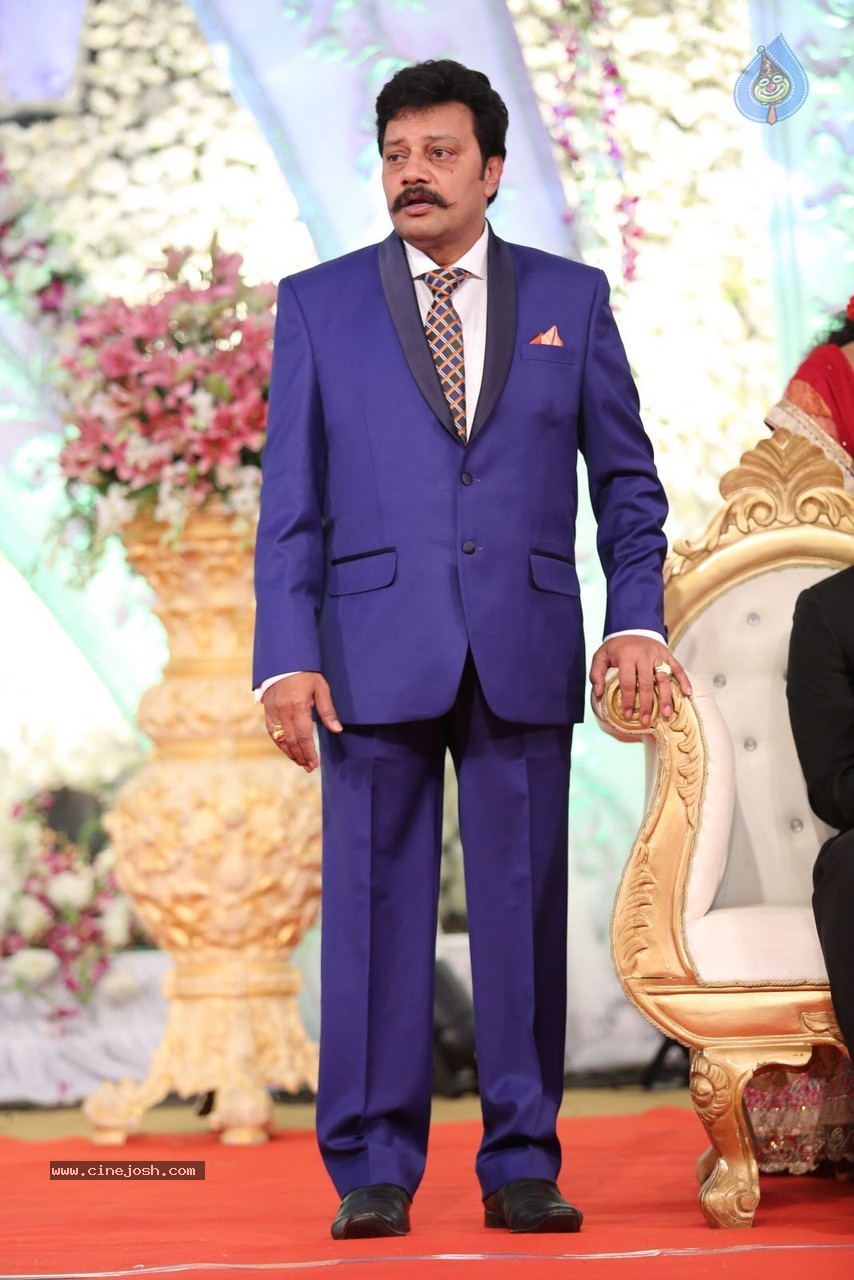 Aadi and Aruna Wedding Reception 01 - 23 / 119 photos