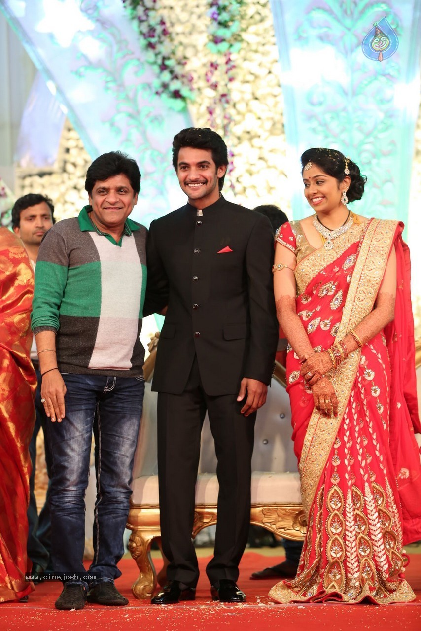 Aadi and Aruna Wedding Reception 01 - 28 / 119 photos