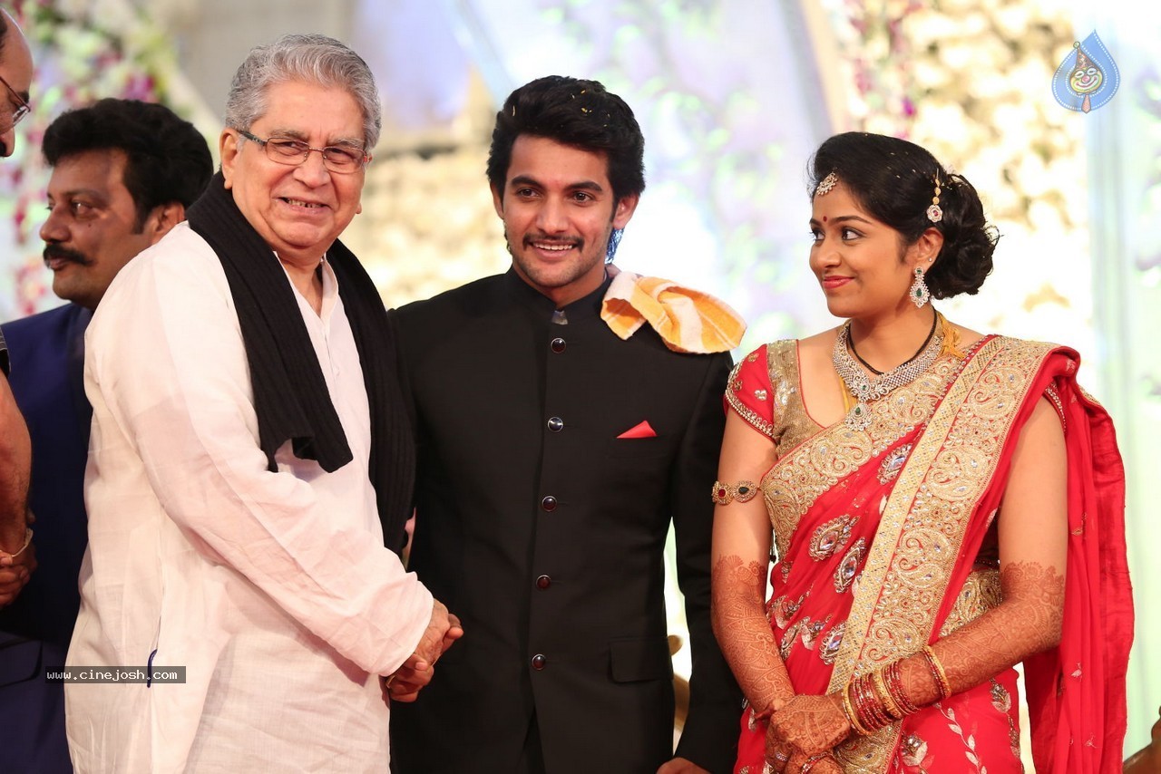 Aadi and Aruna Wedding Reception 01 - 37 / 119 photos
