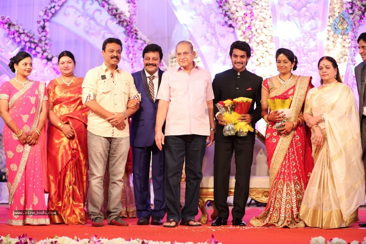 Aadi and Aruna Wedding Reception 01 - 50 / 119 photos
