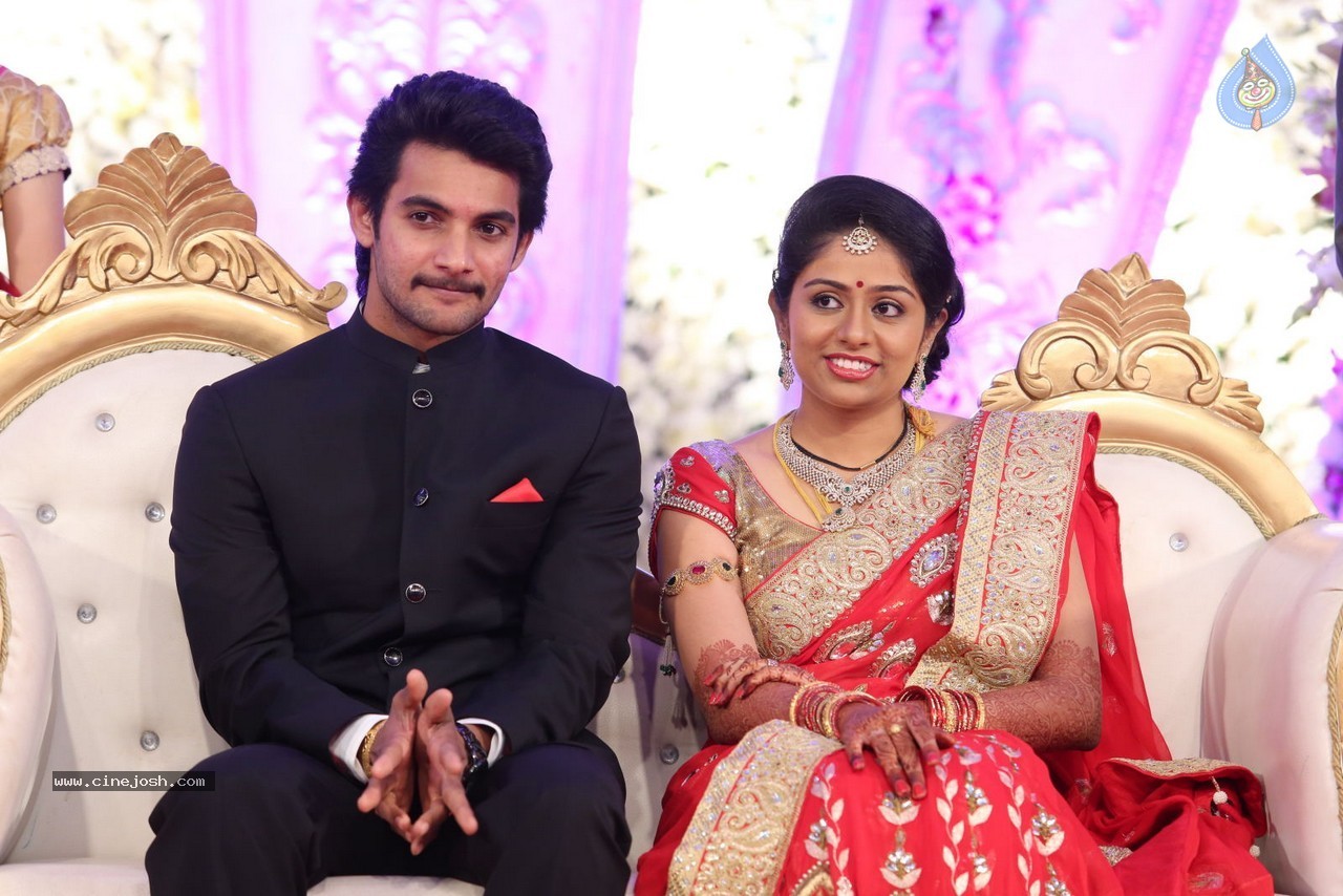 Aadi and Aruna Wedding Reception 01 - 60 / 119 photos