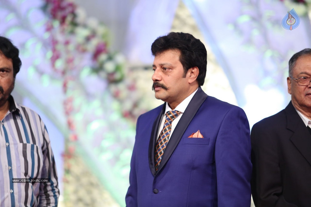 Aadi and Aruna Wedding Reception 01 - 61 / 119 photos