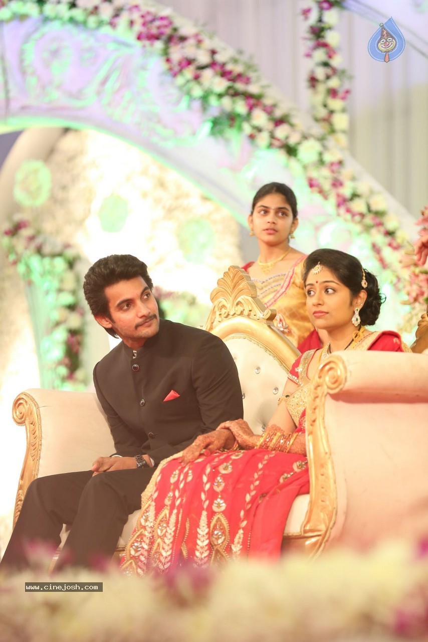 Aadi and Aruna Wedding Reception 01 - 94 / 119 photos