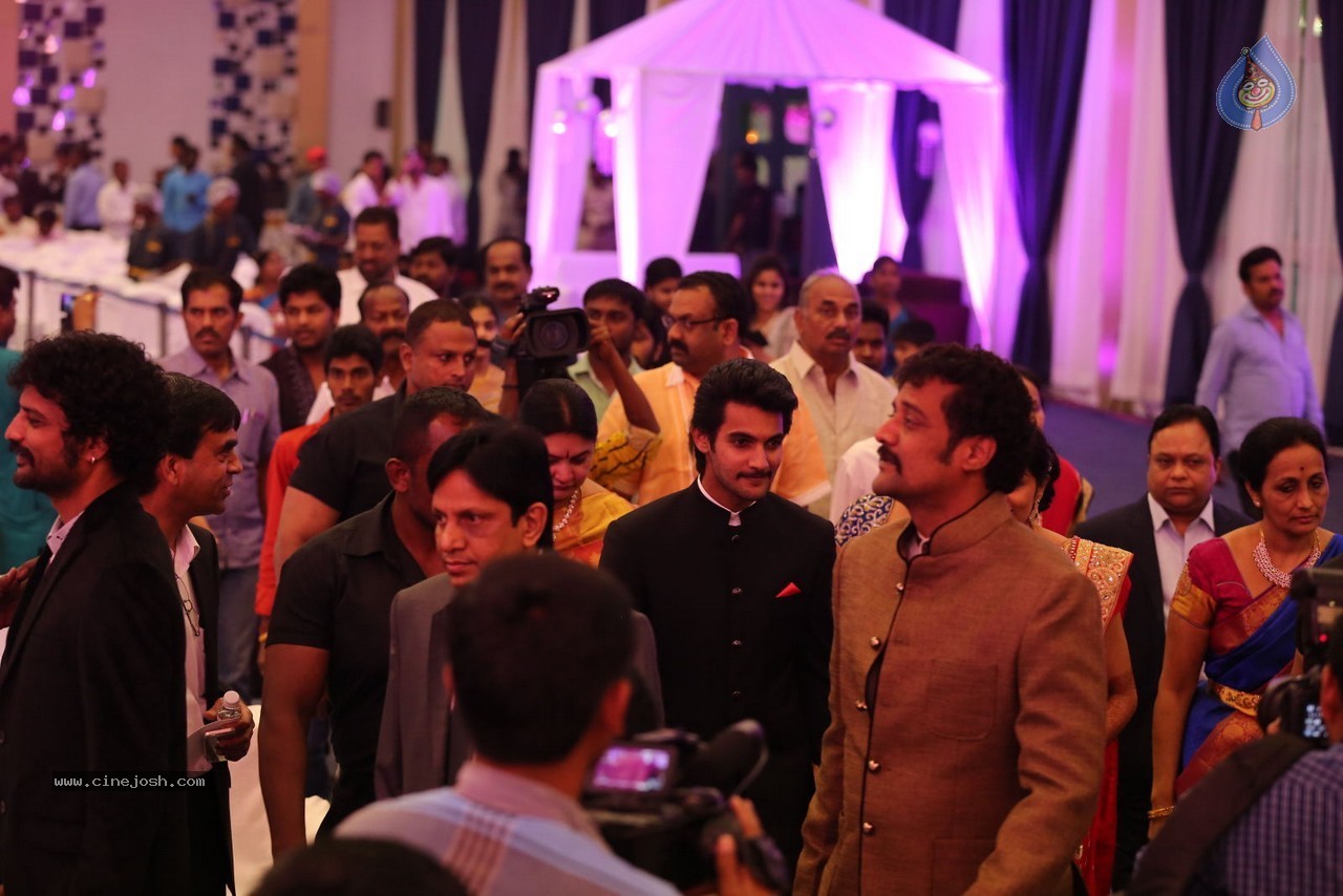 Aadi and Aruna Wedding Reception 01 - 97 / 119 photos