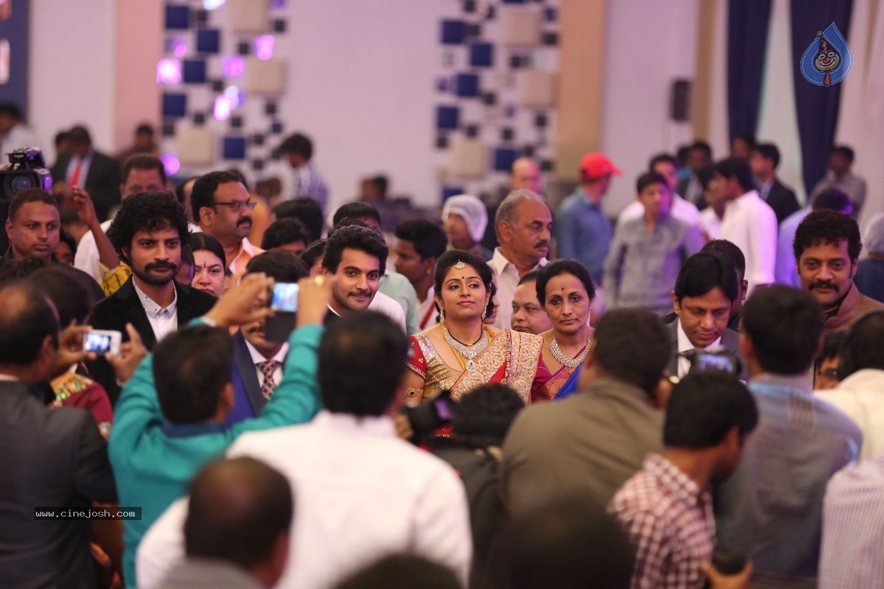 Aadi and Aruna Wedding Reception 01 - 100 / 119 photos