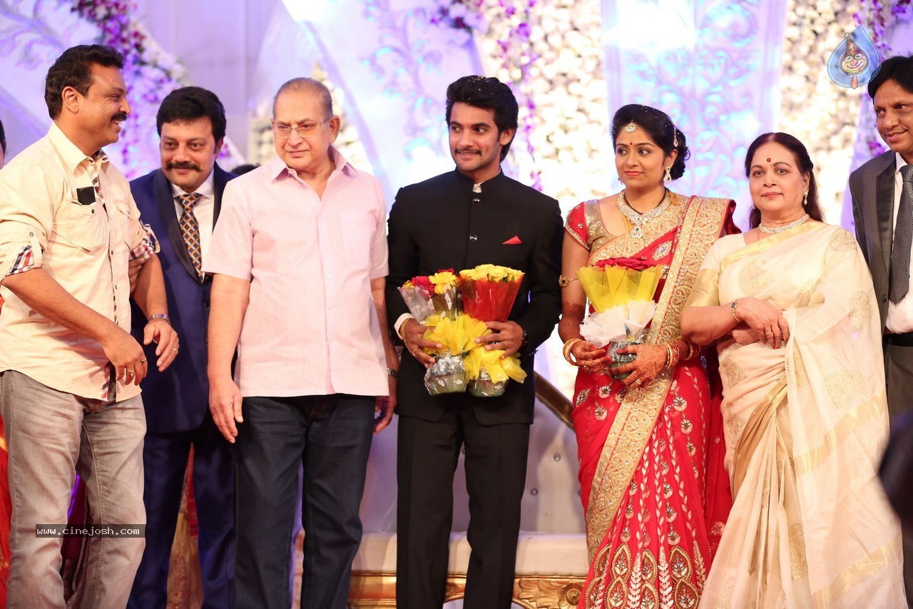 Aadi and Aruna Wedding Reception 01 - 104 / 119 photos