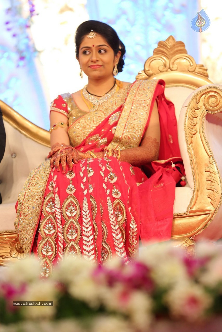 Aadi and Aruna Wedding Reception 01 - 109 / 119 photos