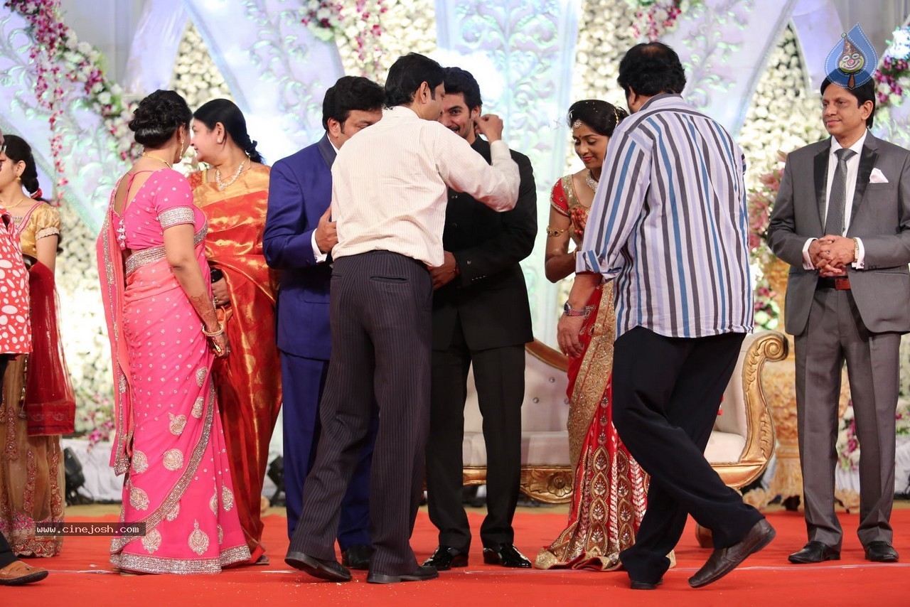 Aadi and Aruna Wedding Reception 01 - 114 / 119 photos