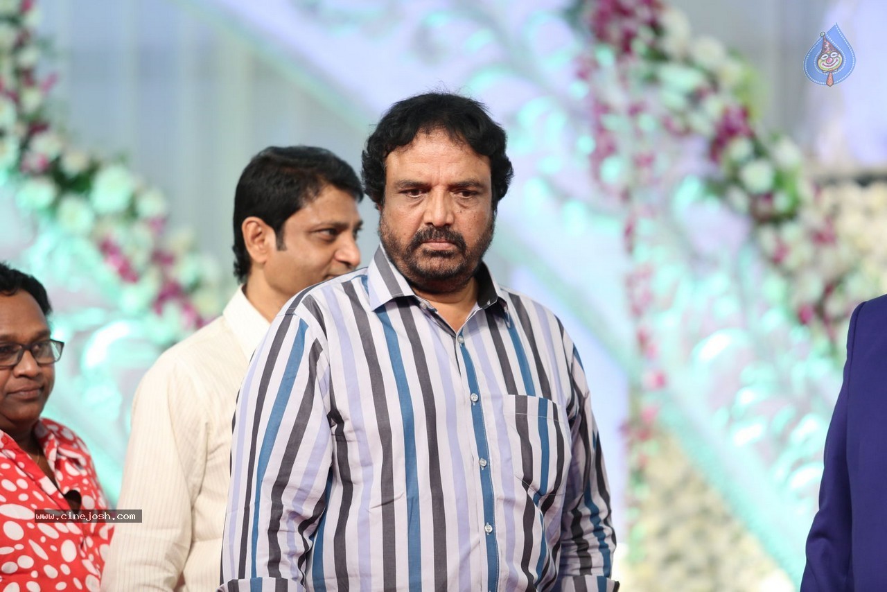 Aadi and Aruna Wedding Reception 01 - 119 / 119 photos