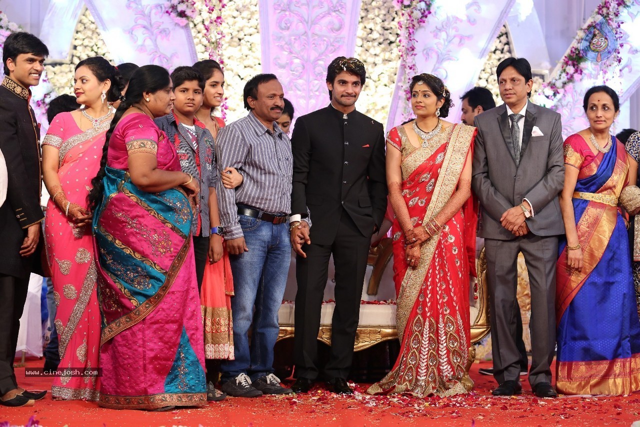 Aadi and Aruna Wedding Reception 03 - 12 / 235 photos