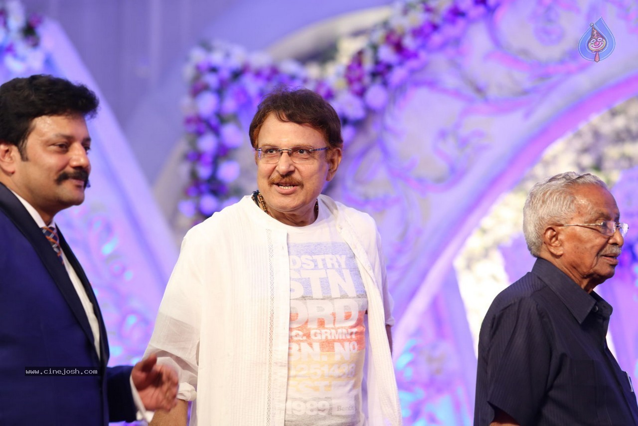 Aadi and Aruna Wedding Reception 03 - 22 / 235 photos