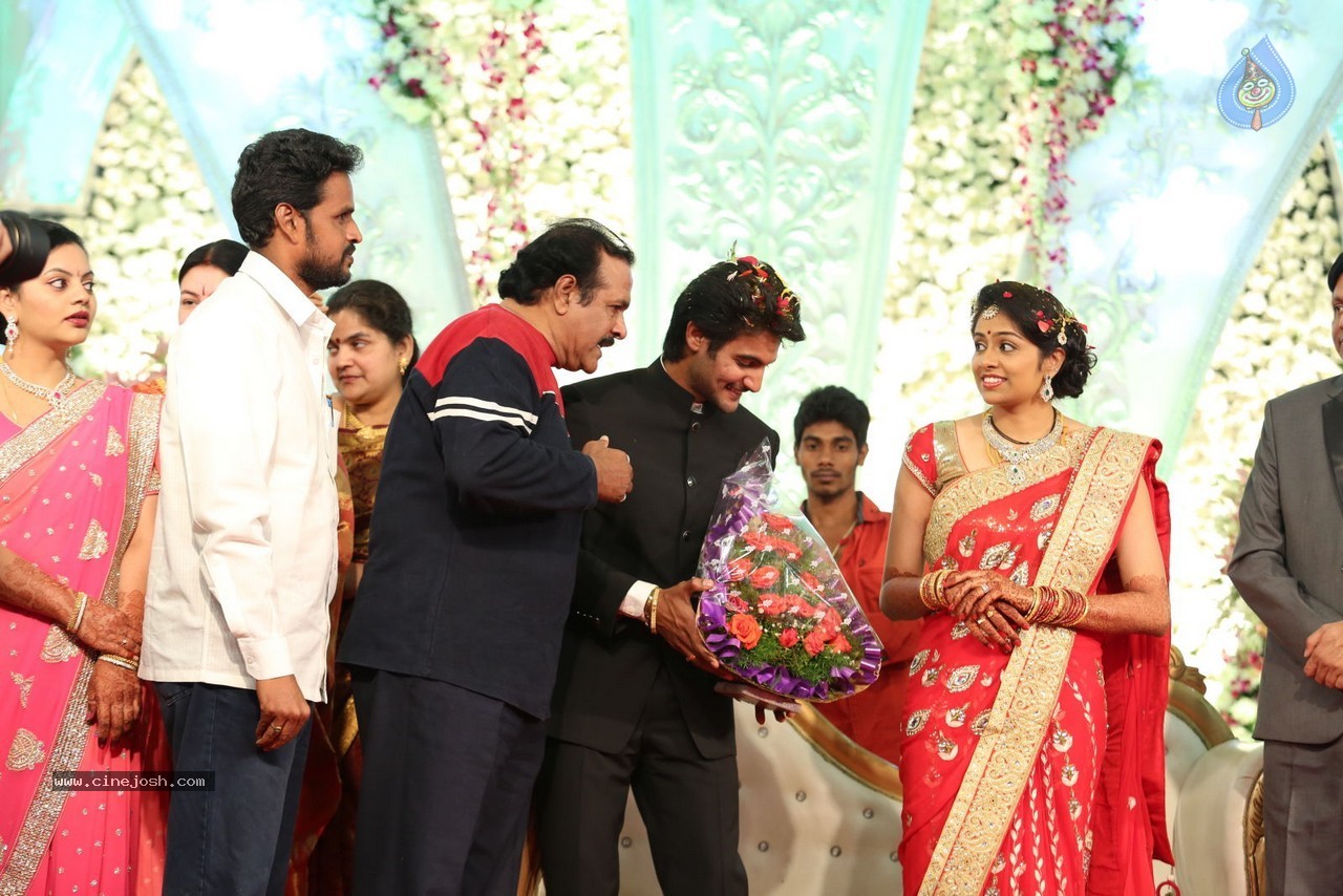 Aadi and Aruna Wedding Reception 03 - 24 / 235 photos