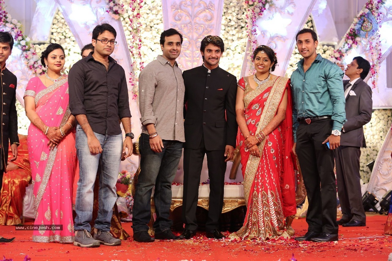 Aadi and Aruna Wedding Reception 03 - 25 / 235 photos