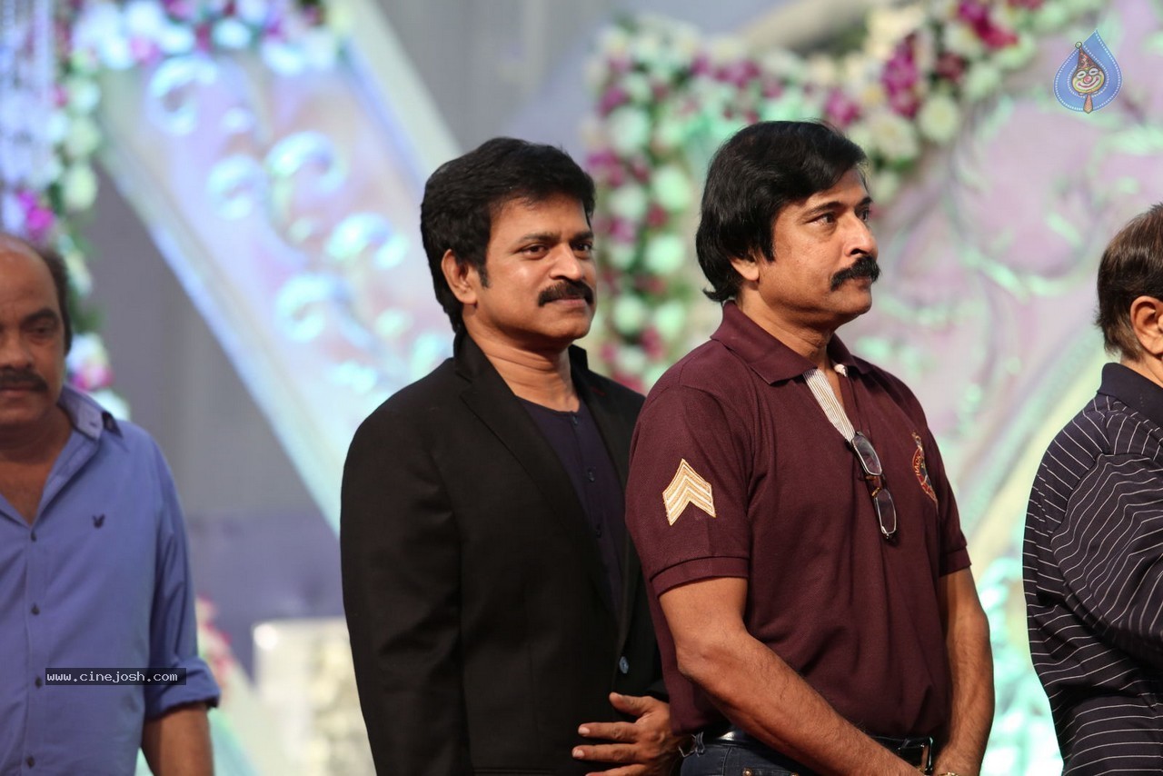 Aadi and Aruna Wedding Reception 03 - 26 / 235 photos