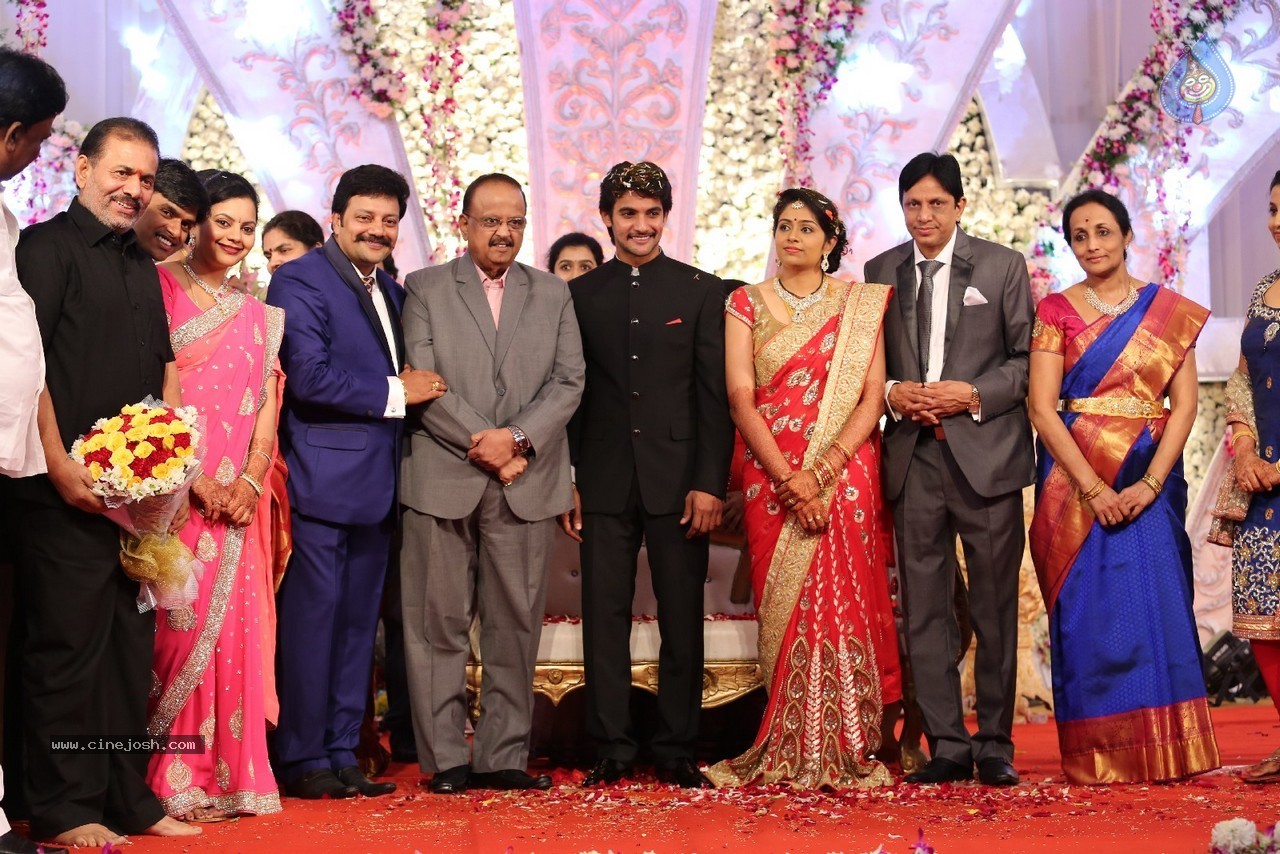 Aadi and Aruna Wedding Reception 03 - 42 / 235 photos