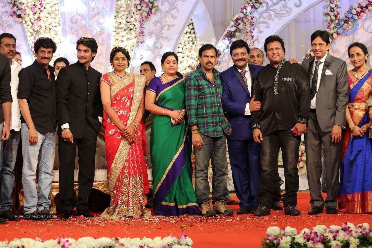Aadi and Aruna Wedding Reception 03 - 43 / 235 photos