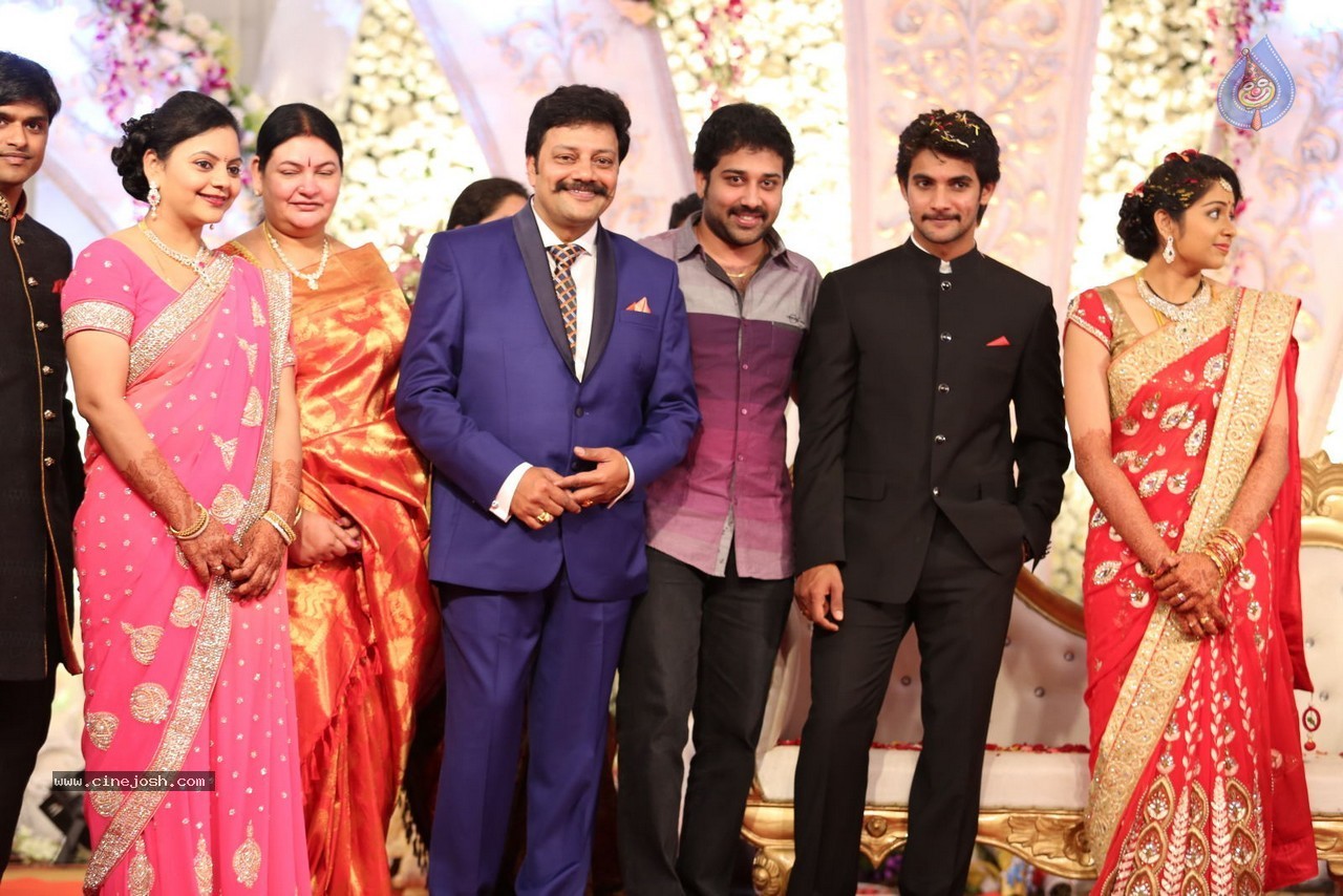 Aadi and Aruna Wedding Reception 03 - 44 / 235 photos