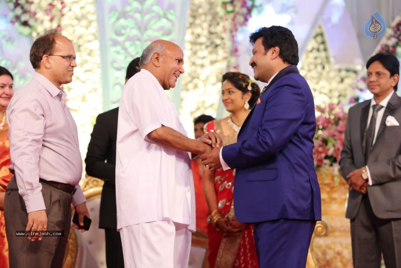 Aadi and Aruna Wedding Reception 03 - 46 / 235 photos