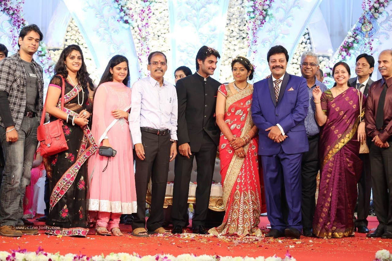 Aadi and Aruna Wedding Reception 03 - 47 / 235 photos