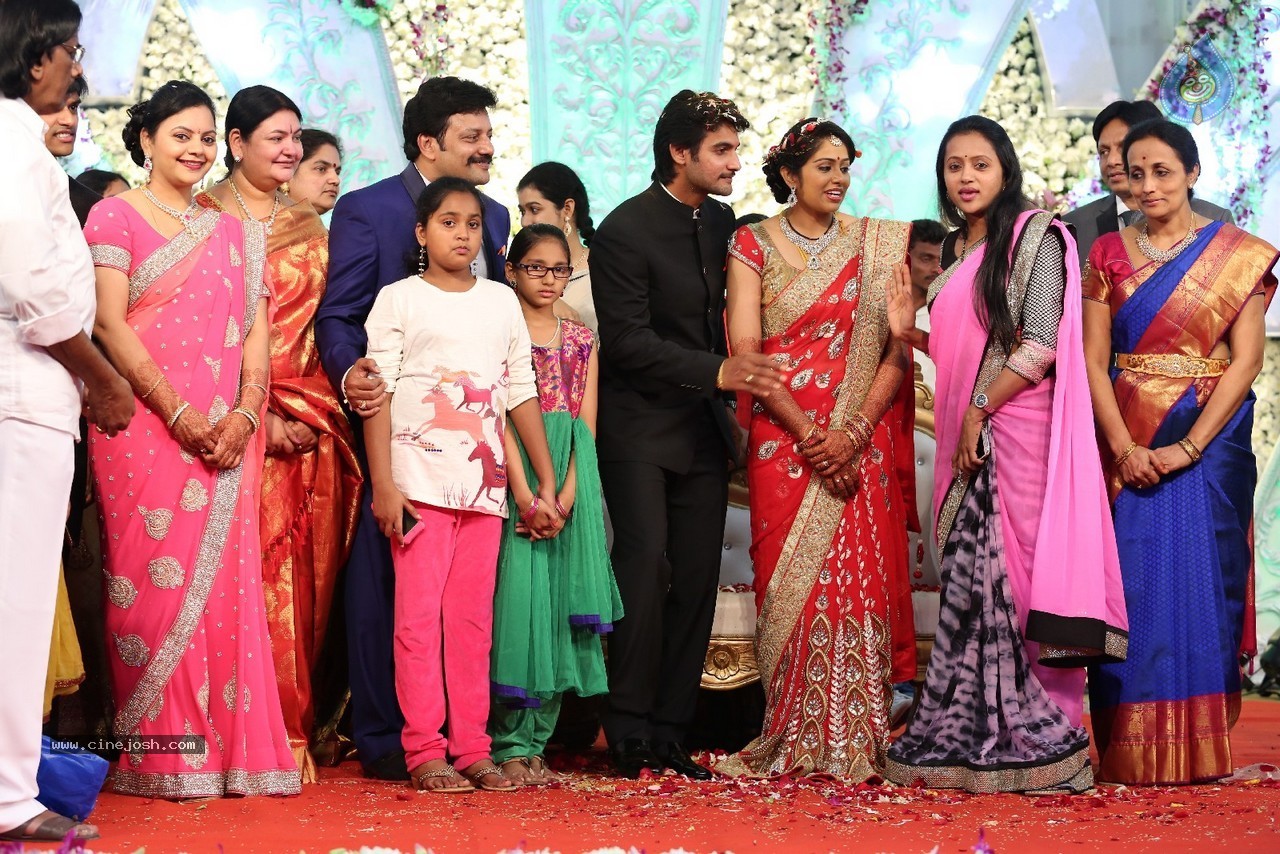 Aadi and Aruna Wedding Reception 03 - 48 / 235 photos