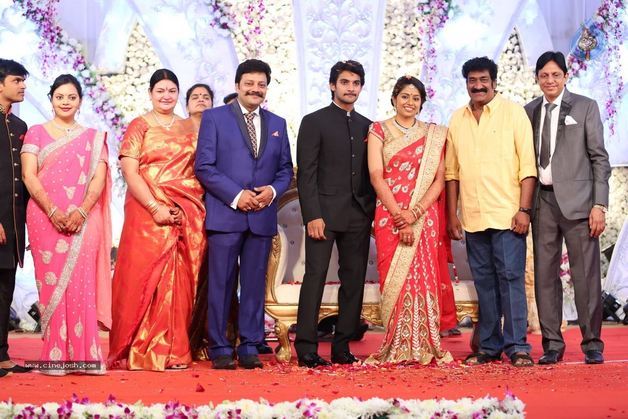 Aadi and Aruna Wedding Reception 03 - 49 / 235 photos