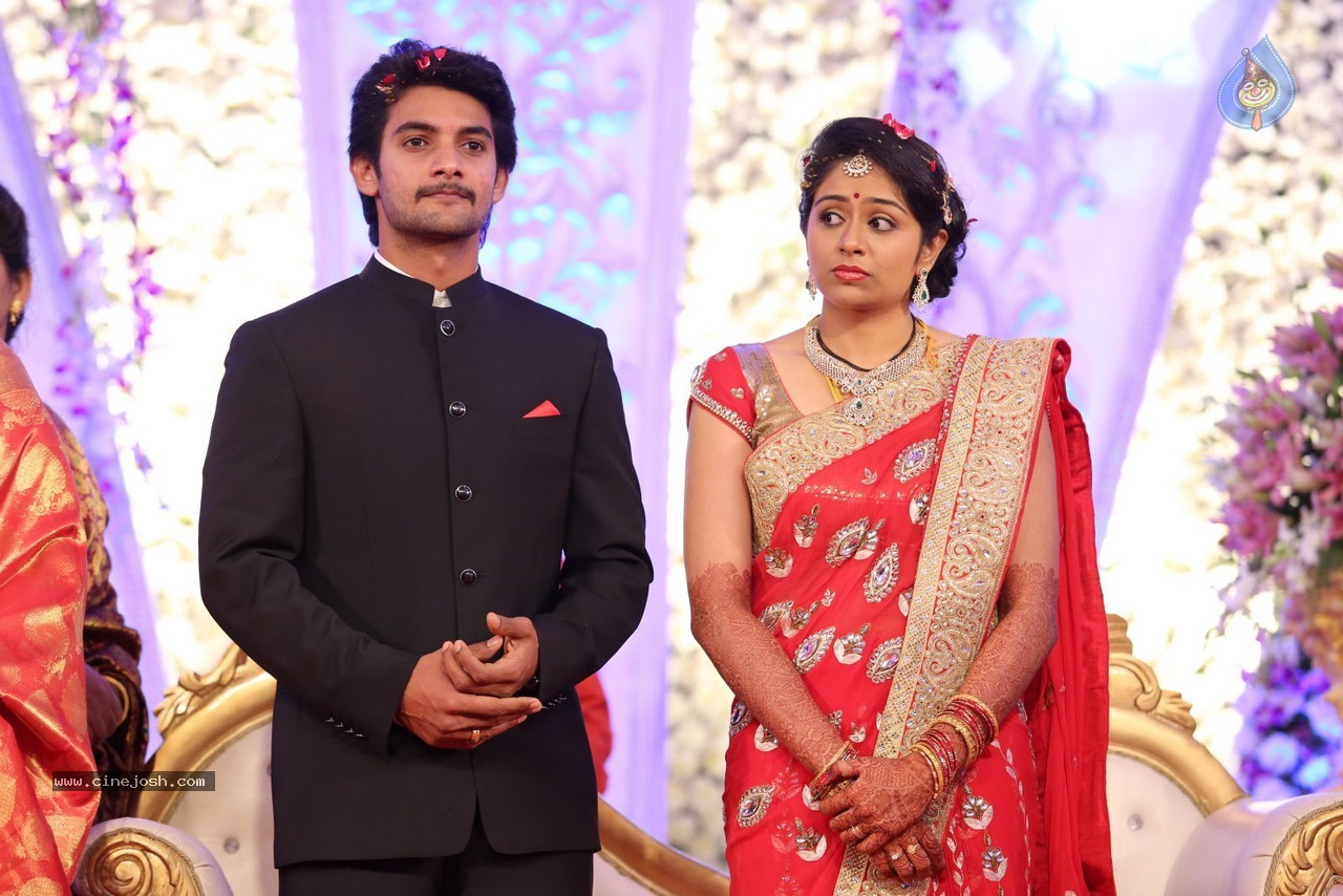 Aadi and Aruna Wedding Reception 03 - 50 / 235 photos