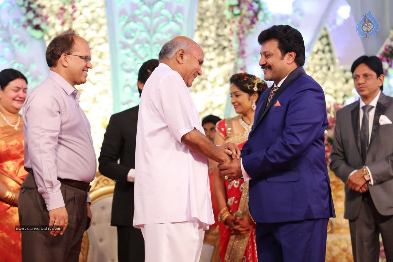 Aadi and Aruna Wedding Reception 03 - 66 / 235 photos