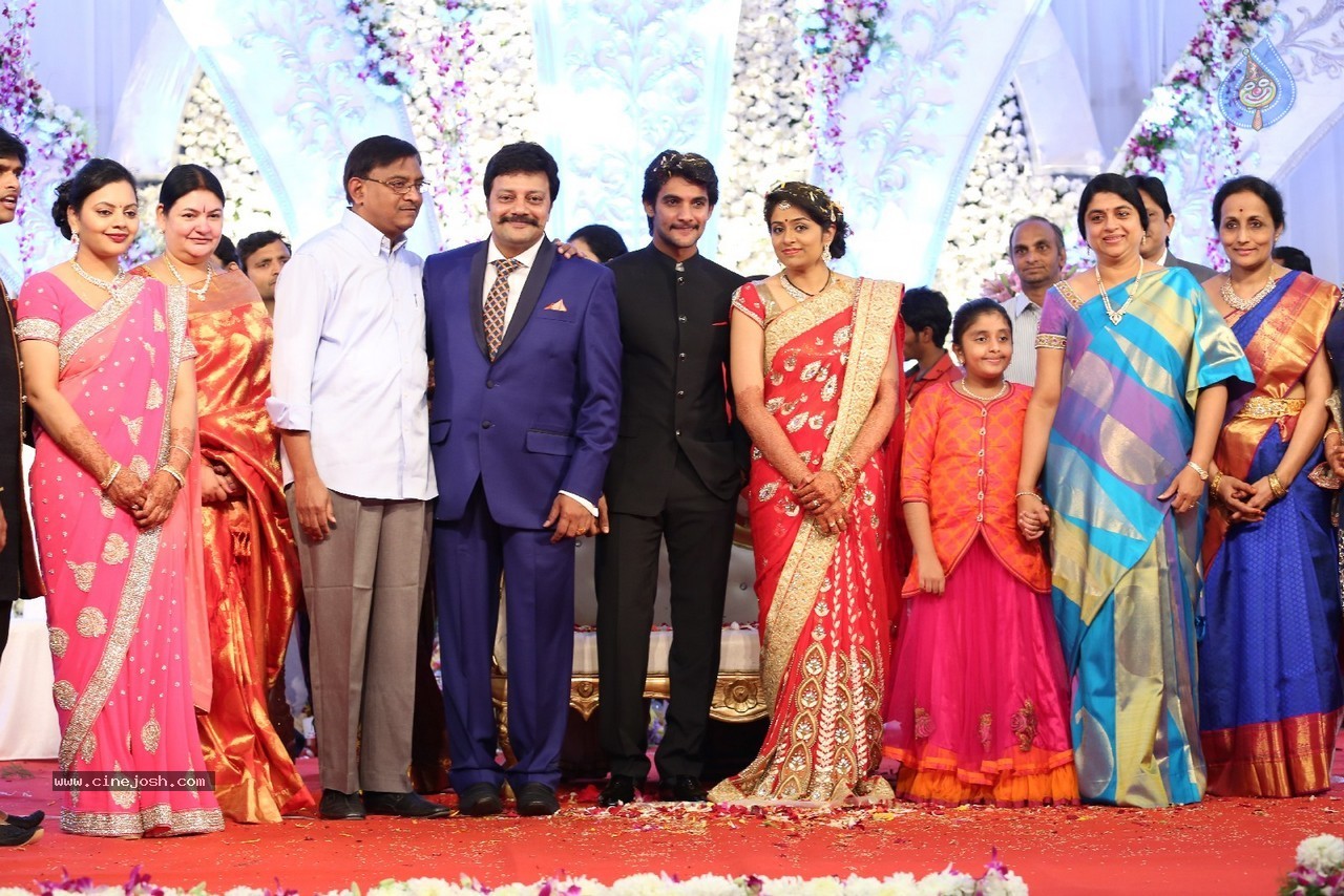 Aadi and Aruna Wedding Reception 03 - 67 / 235 photos