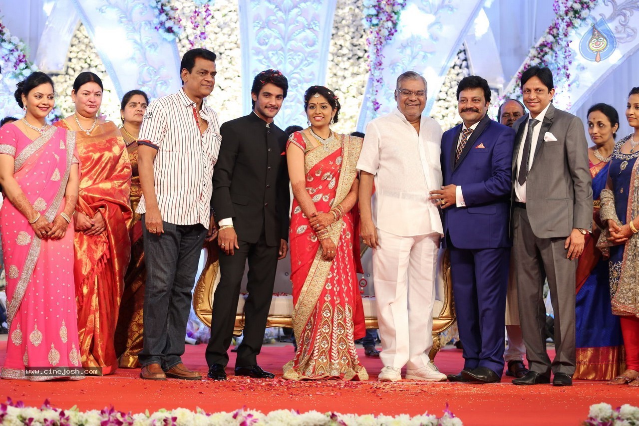 Aadi and Aruna Wedding Reception 03 - 68 / 235 photos