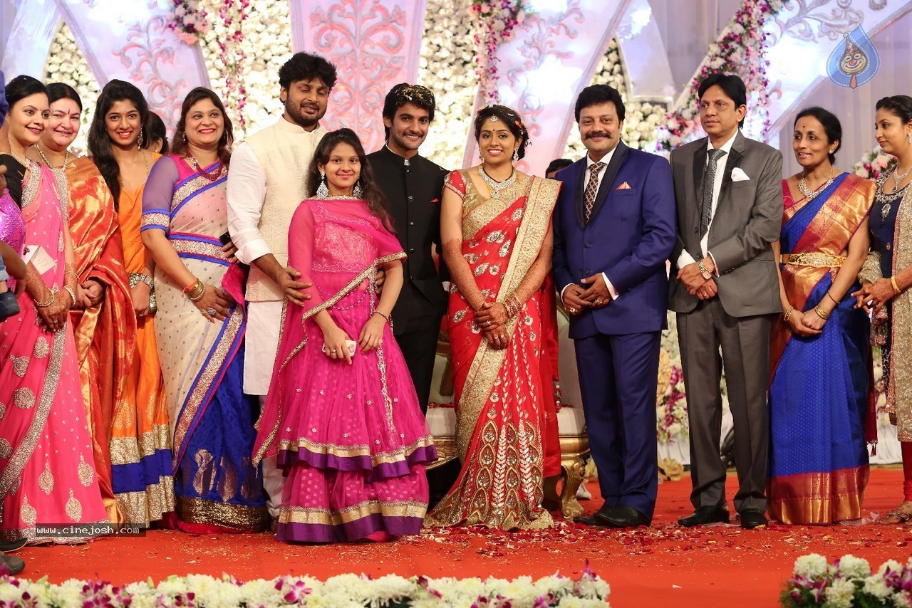 Aadi and Aruna Wedding Reception 03 - 71 / 235 photos