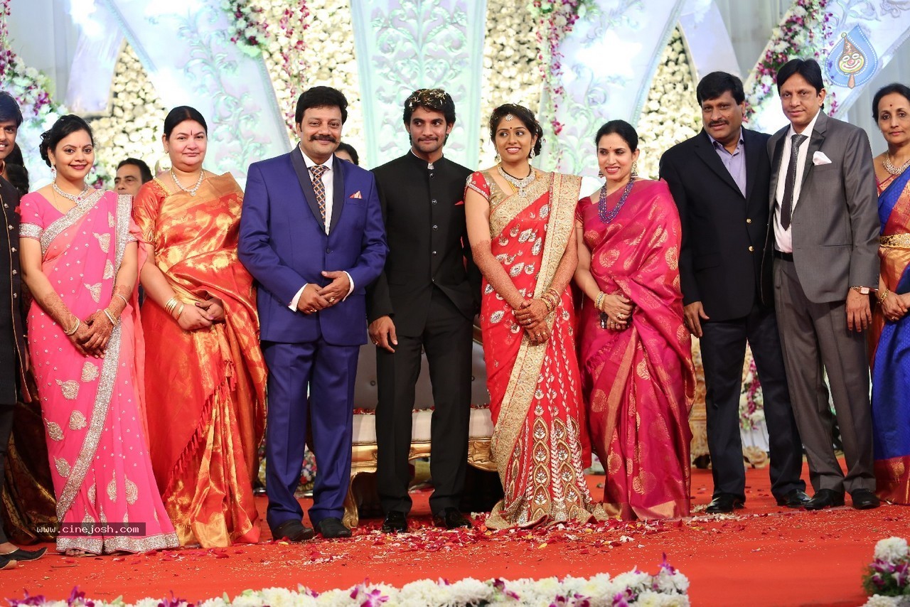 Aadi and Aruna Wedding Reception 03 - 72 / 235 photos