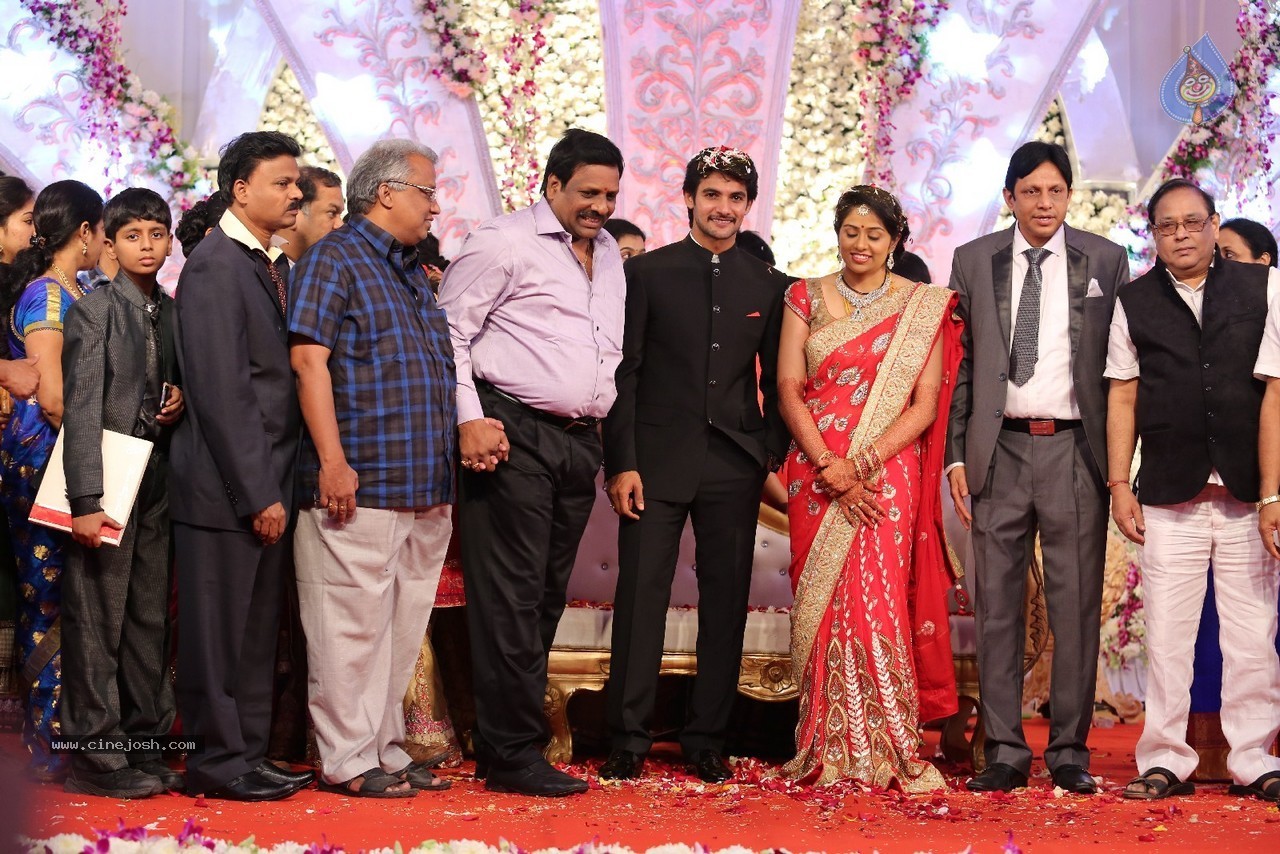 Aadi and Aruna Wedding Reception 03 - 74 / 235 photos