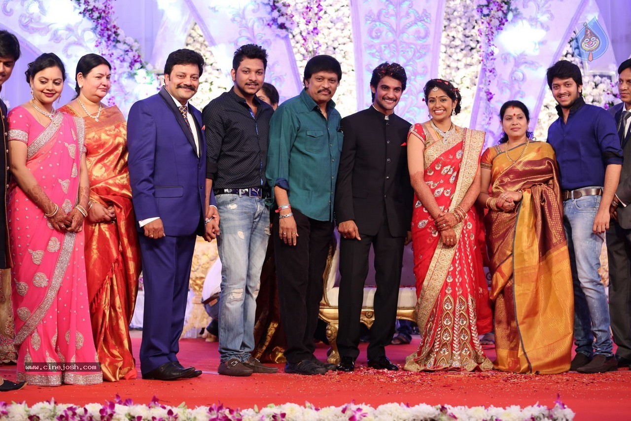 Aadi and Aruna Wedding Reception 03 - 76 / 235 photos