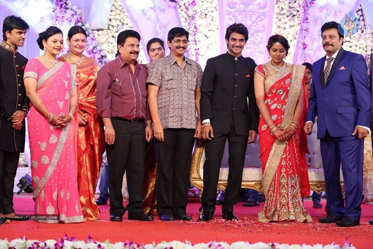 Aadi and Aruna Wedding Reception 03 - 78 / 235 photos