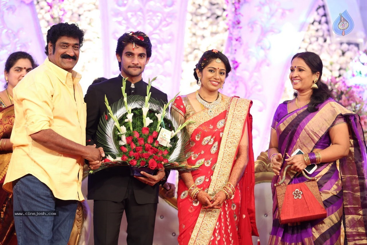 Aadi and Aruna Wedding Reception 03 - 79 / 235 photos