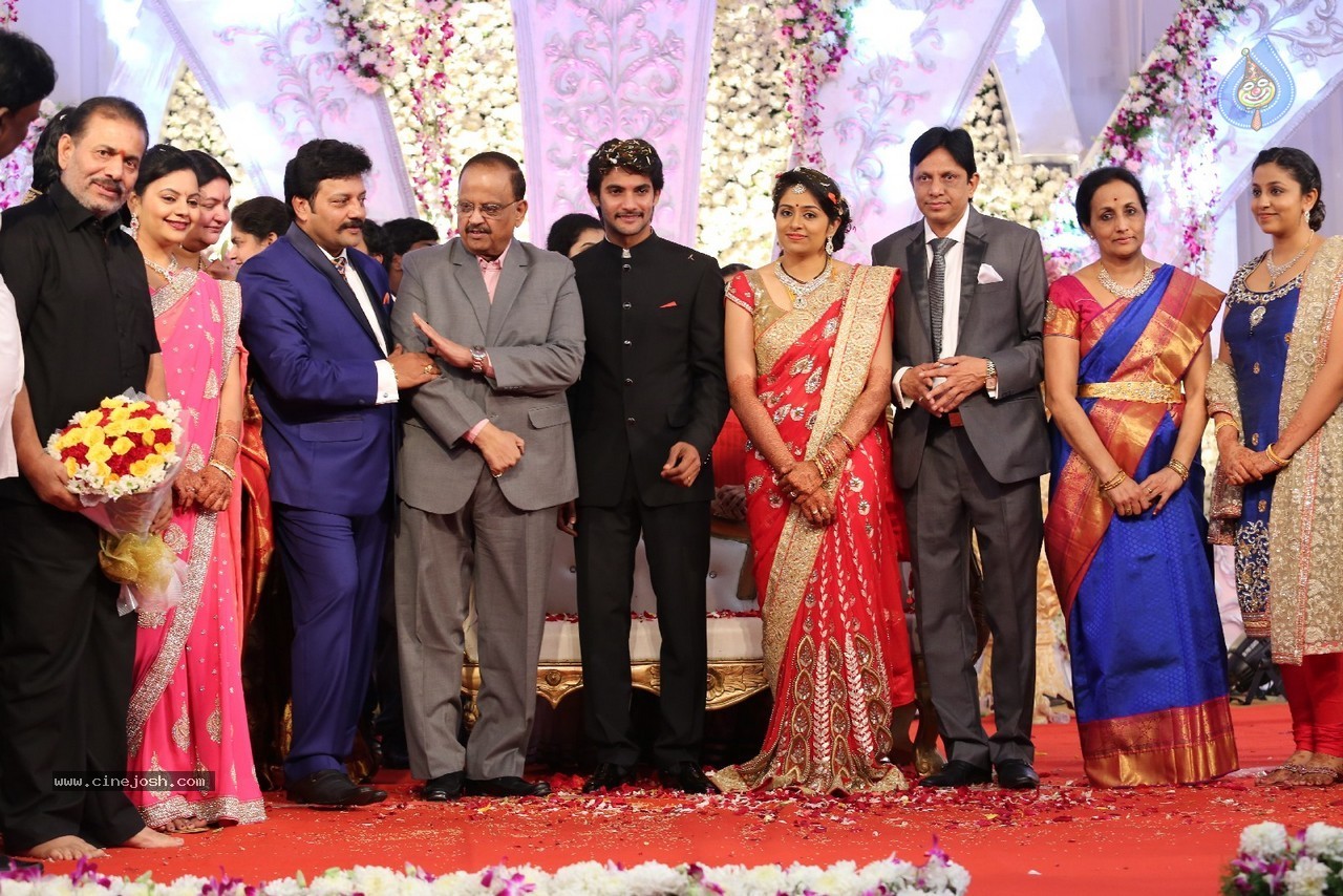 Aadi and Aruna Wedding Reception 03 - 85 / 235 photos