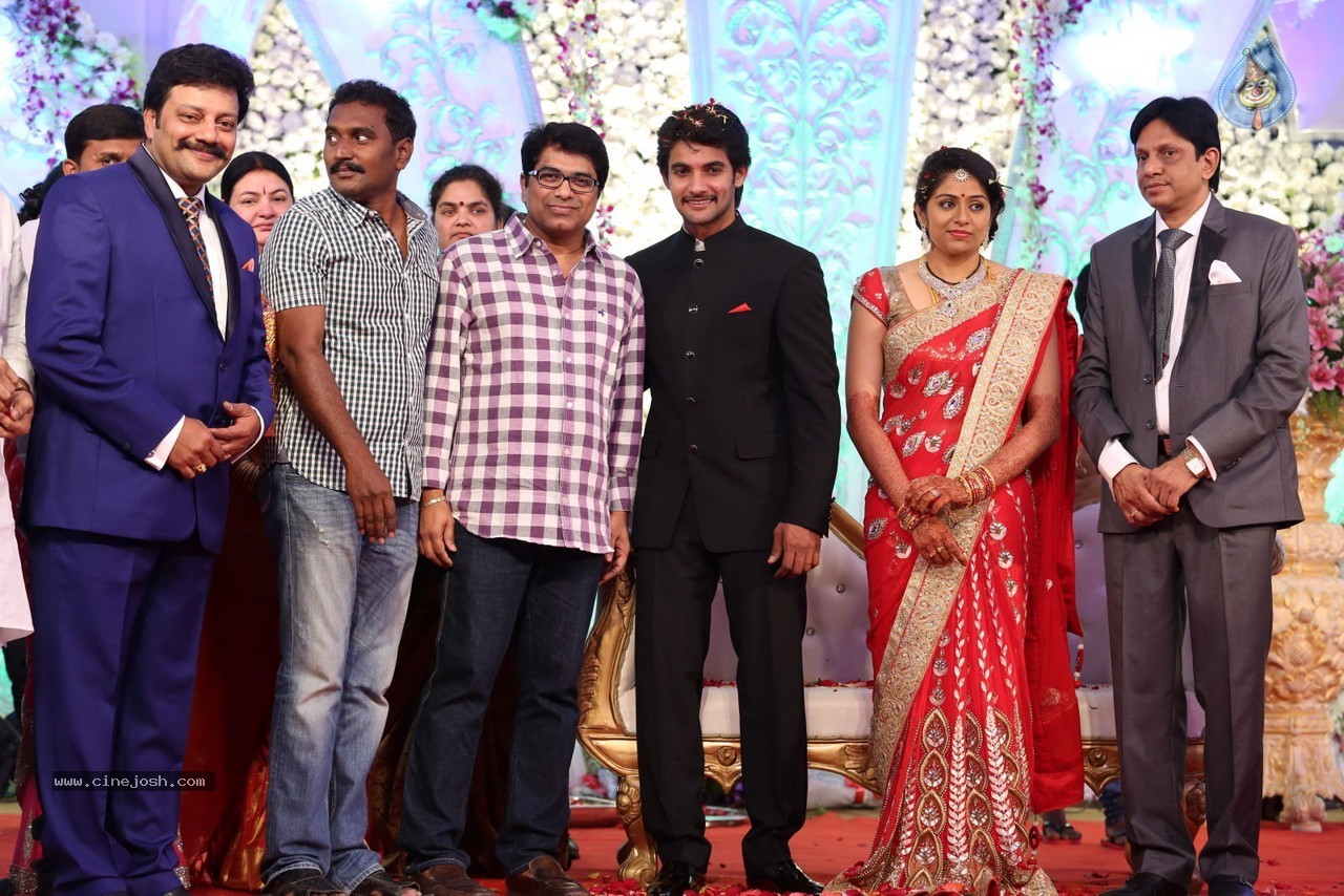 Aadi and Aruna Wedding Reception 03 - 90 / 235 photos