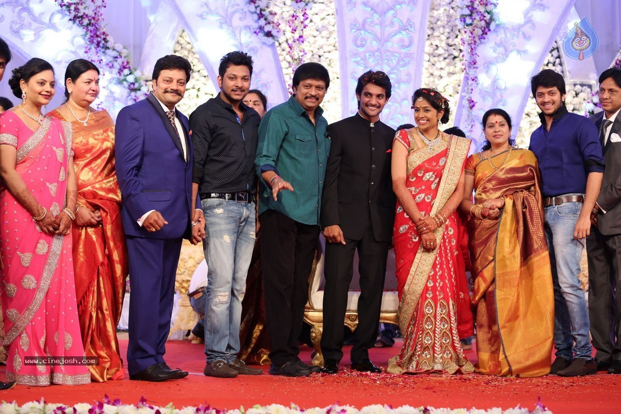 Aadi and Aruna Wedding Reception 03 - 91 / 235 photos