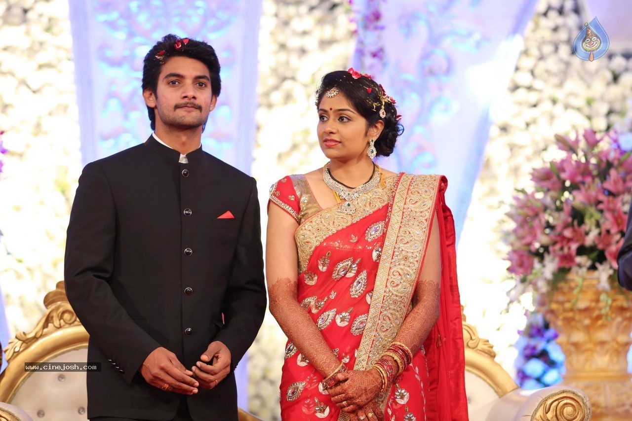 Aadi and Aruna Wedding Reception 03 - 93 / 235 photos