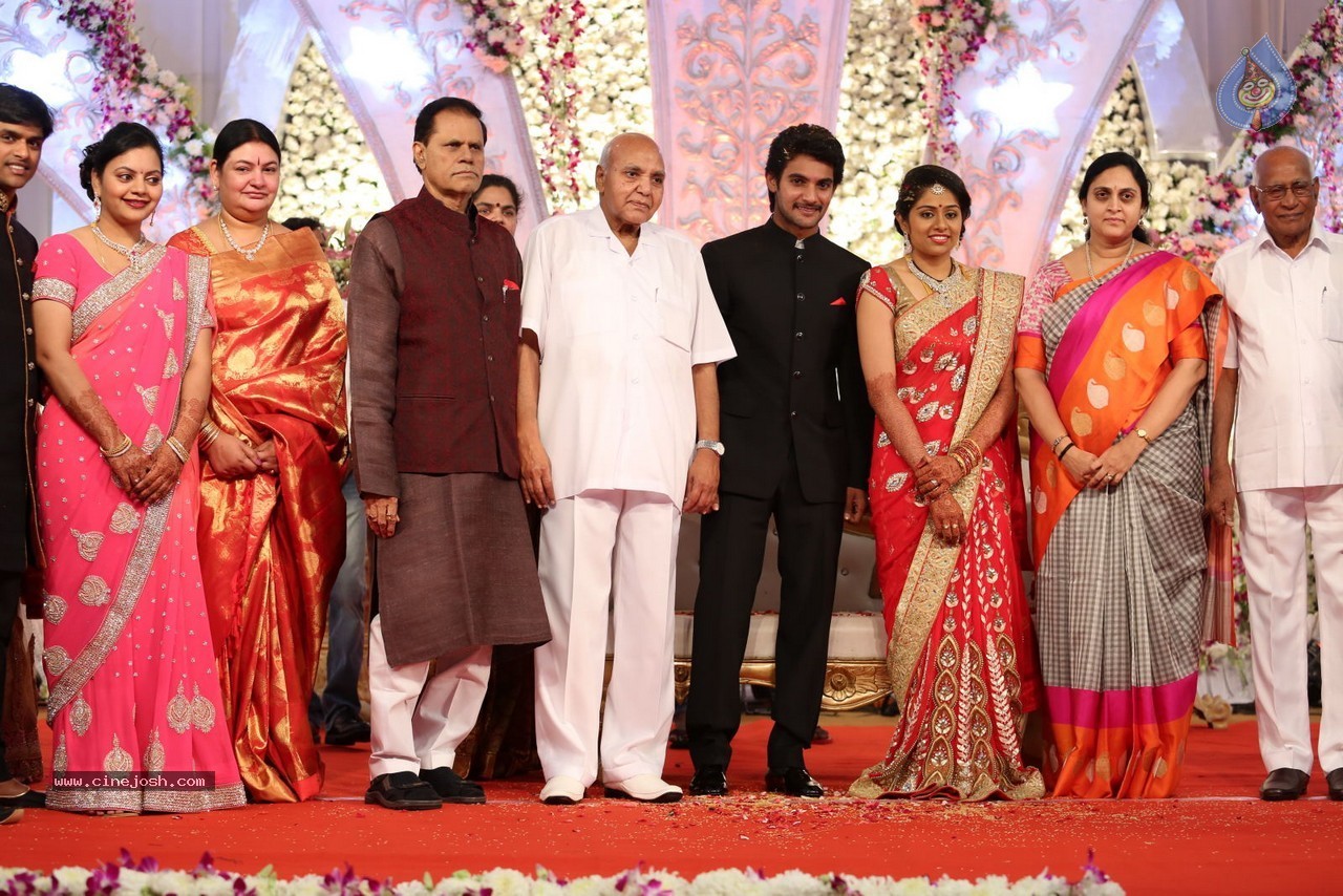 Aadi and Aruna Wedding Reception 03 - 96 / 235 photos
