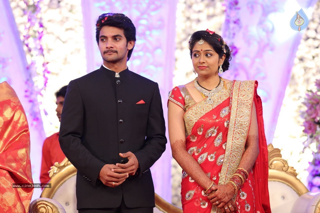 Aadi and Aruna Wedding Reception 03 - 97 / 235 photos