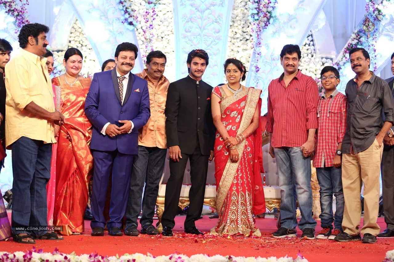 Aadi and Aruna Wedding Reception 03 - 98 / 235 photos