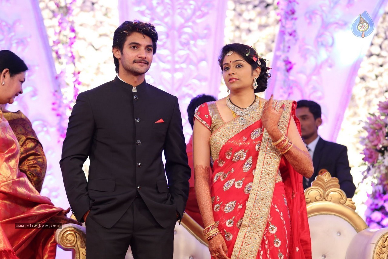 Aadi and Aruna Wedding Reception 03 - 99 / 235 photos