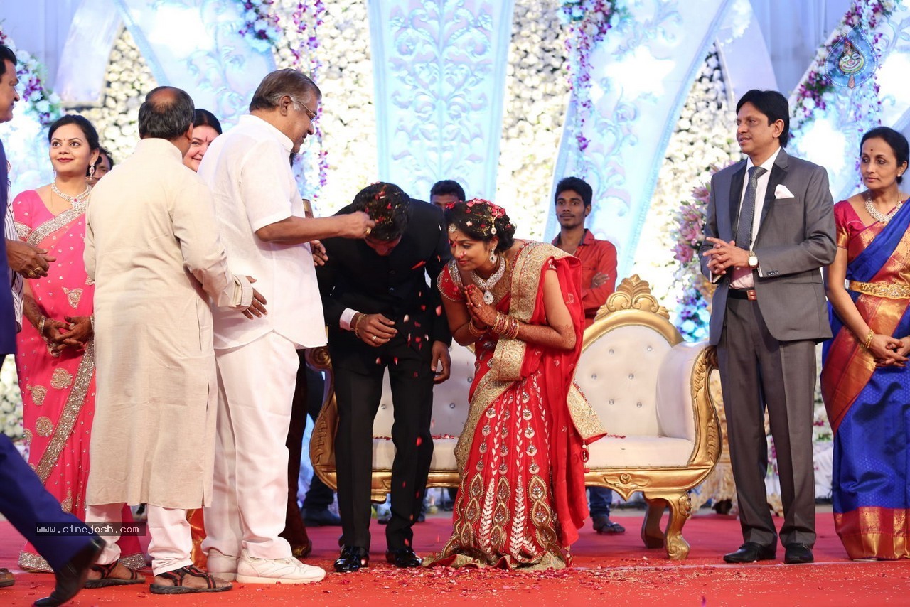 Aadi and Aruna Wedding Reception 03 - 102 / 235 photos