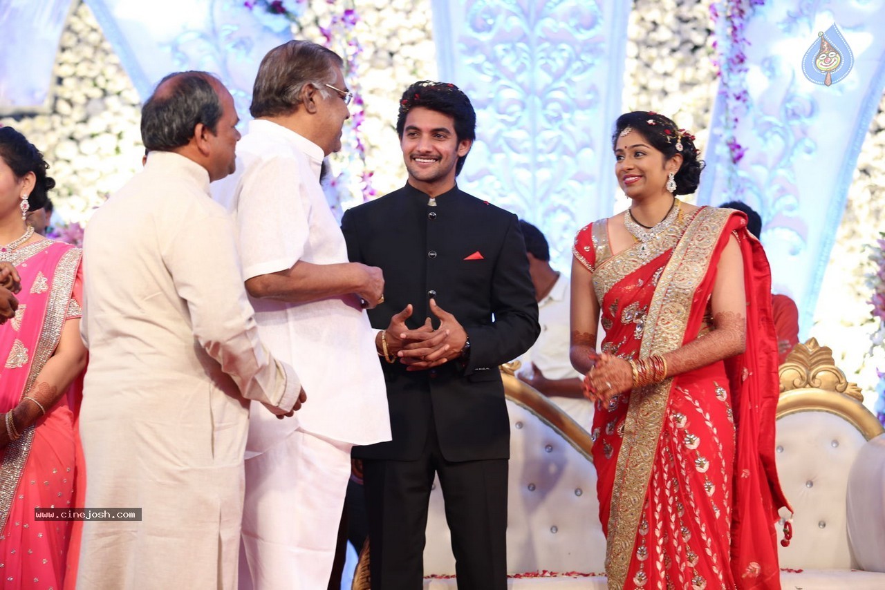Aadi and Aruna Wedding Reception 03 - 105 / 235 photos