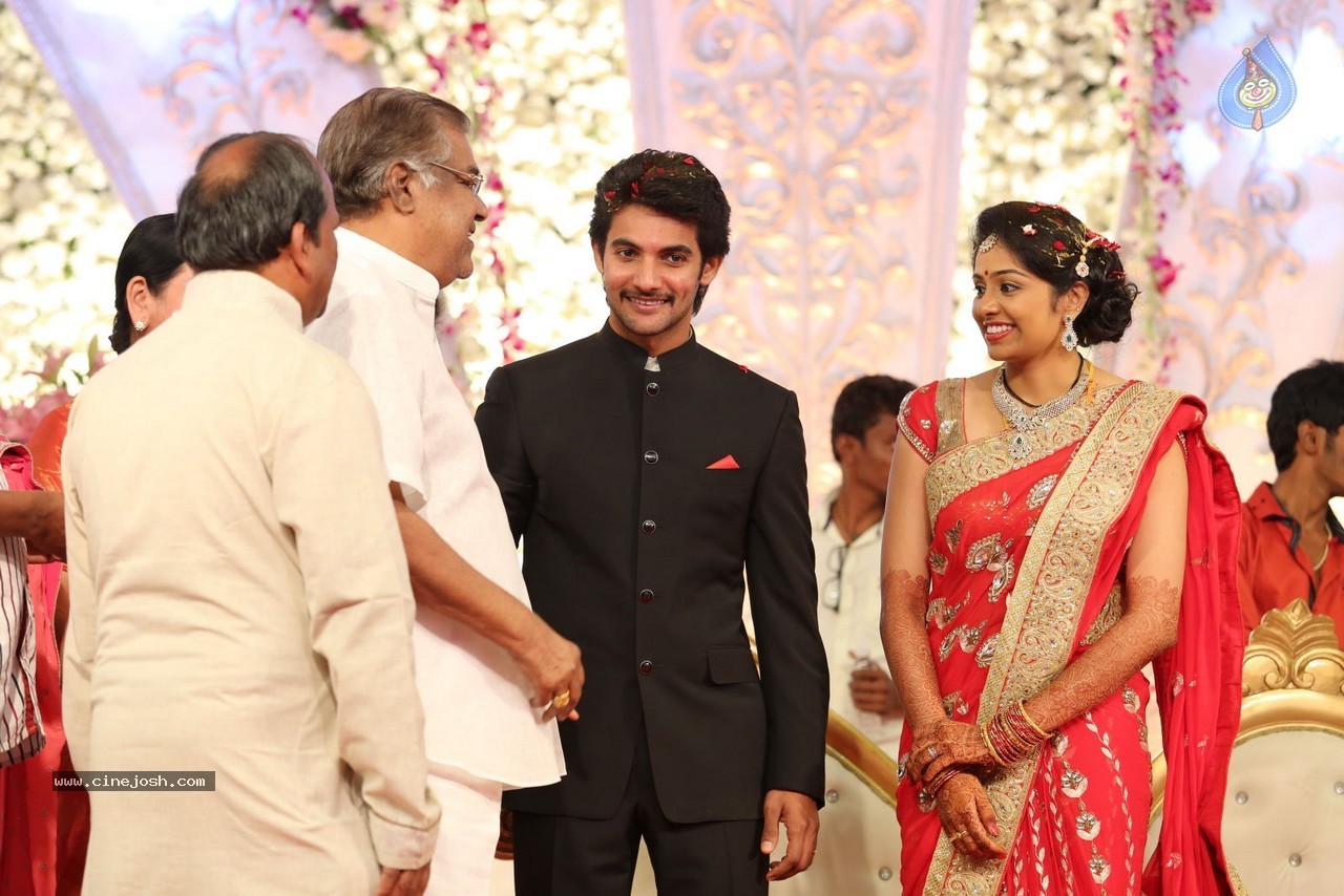 Aadi and Aruna Wedding Reception 03 - 107 / 235 photos