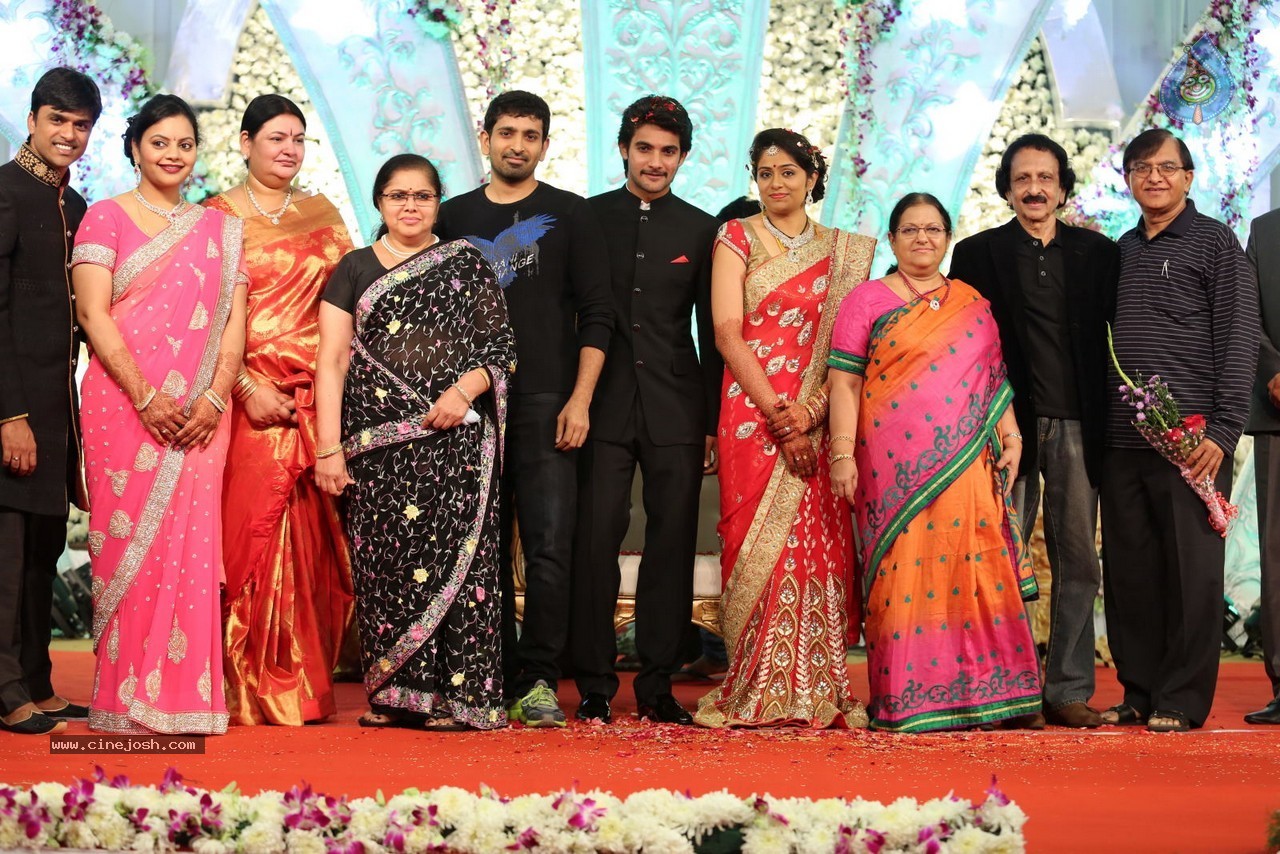 Aadi and Aruna Wedding Reception 03 - 115 / 235 photos
